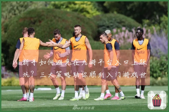 新手如何避免在九游平台入口上踩坑？三大策略助你顺利入门游戏世界