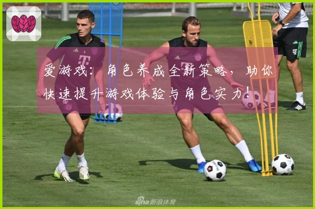 爱游戏：角色养成全新策略，助你快速提升游戏体验与角色实力！